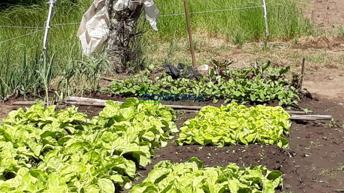 Casa ID.1 - Casa 3 dormitorios  312m2 edificados