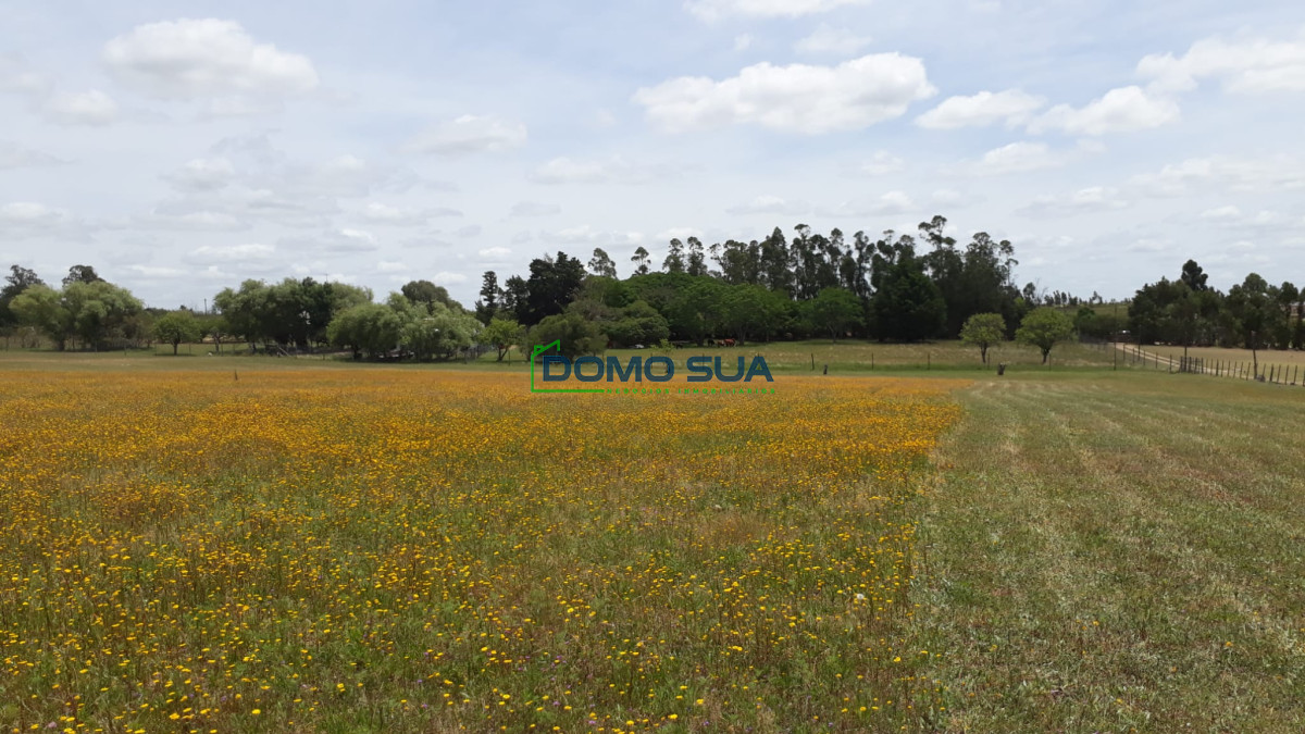 Casa ID.1 - Casa 3 dormitorios  312m2 edificados