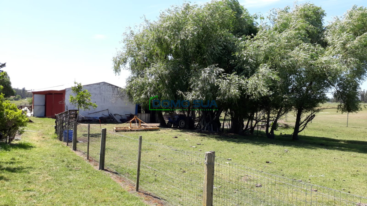 Casa ID.1 - Casa 3 dormitorios  312m2 edificados