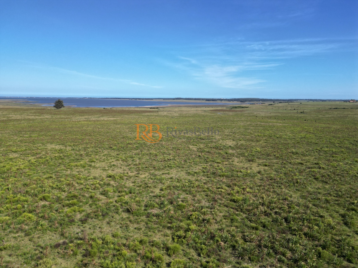 Campo Ref.100 - Campo en José Ignacio 