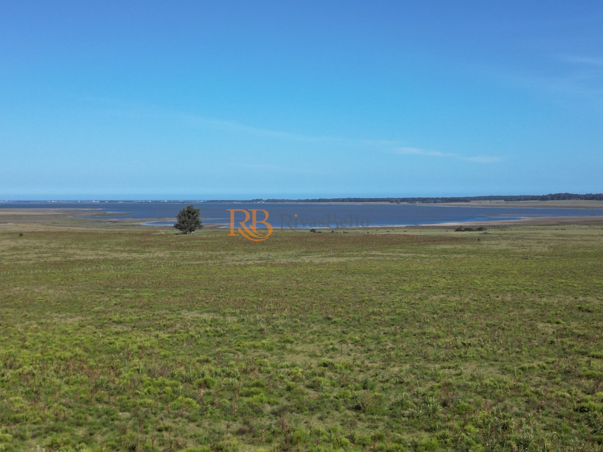 Campo Ref.100 - Campo en José Ignacio 