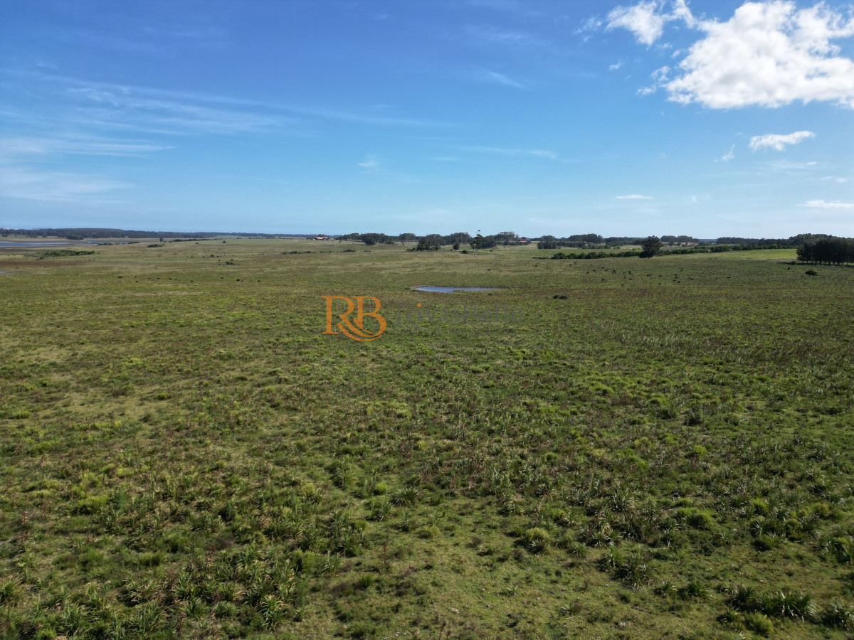 Campo Ref.100 - Campo en José Ignacio 