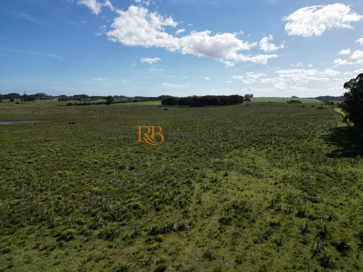 Campo Ref.100 - Campo en José Ignacio 
