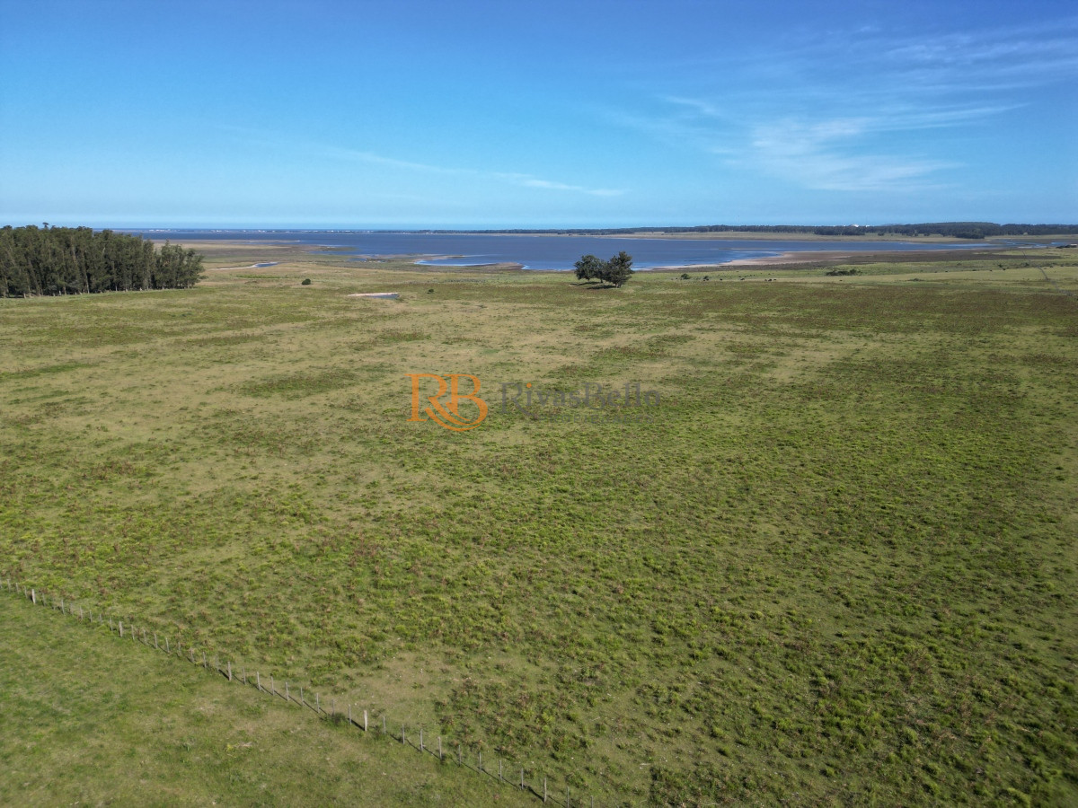 Campo Ref.100 - Campo en José Ignacio 