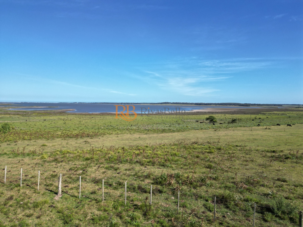 Campo Ref.100 - Campo en José Ignacio 