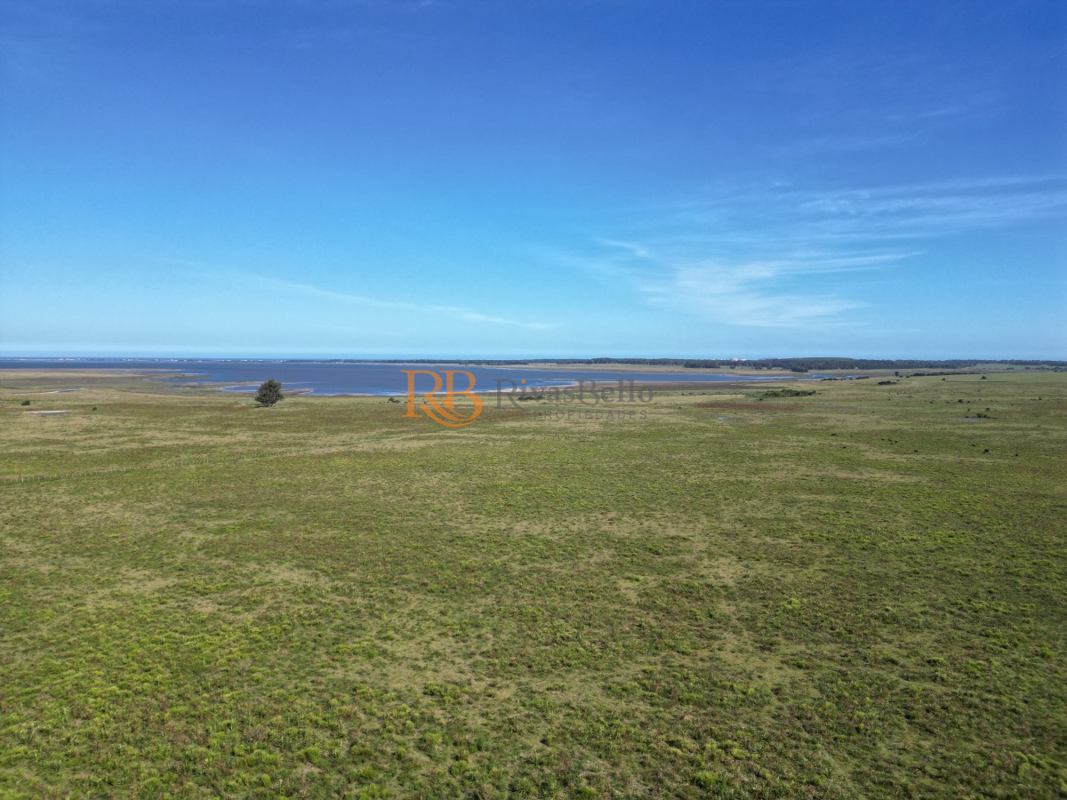 Campo Ref.100 - Campo en José Ignacio 