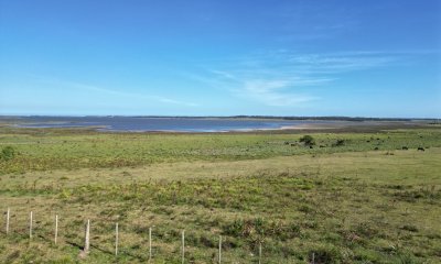 Campo en José Ignacio