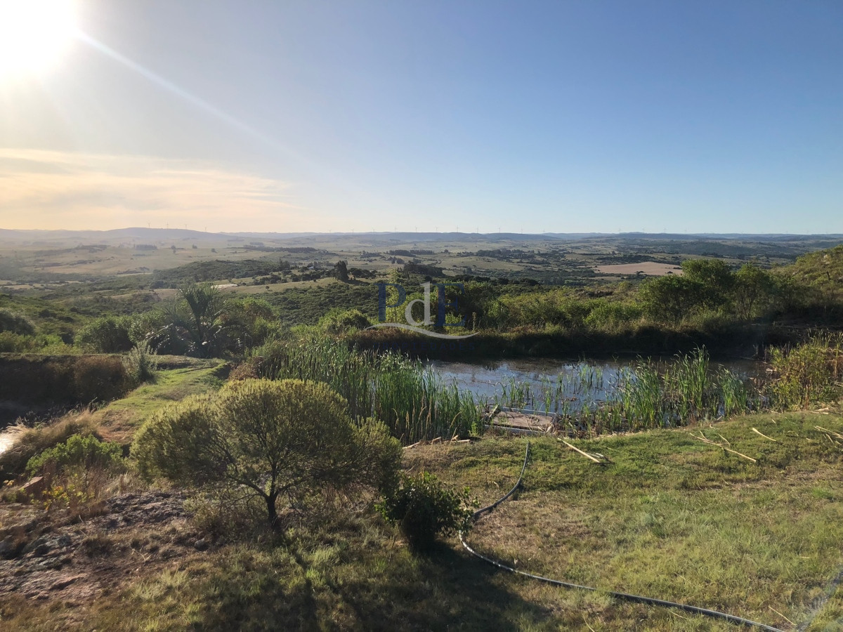 Chacra en Venta.  Ruta 39 km 46, Paraje Las Cañas. - Imagen 2