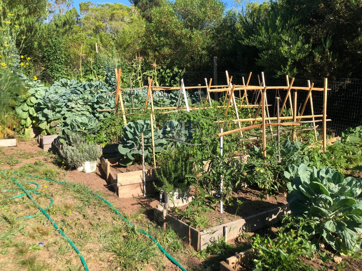 Chacra en Venta.  Ruta 39 km 46, Paraje Las Cañas. - Imagen 33