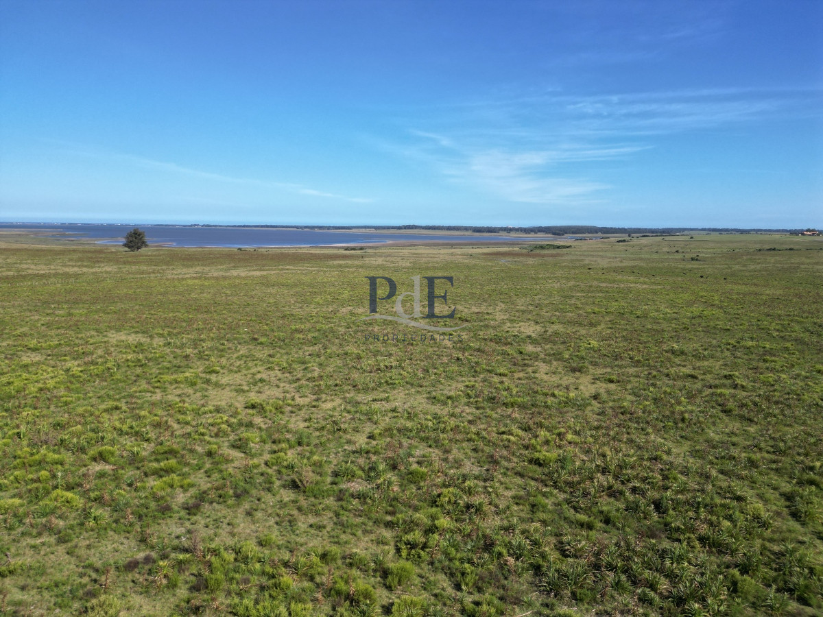 Campo en José Ignacio. - Imagen 10