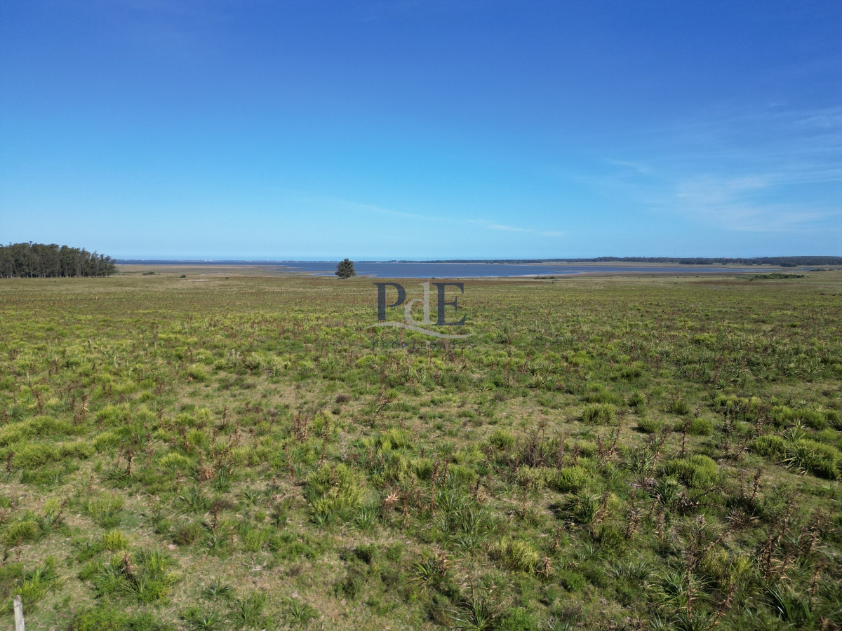 Campo en José Ignacio. - Imagen 6