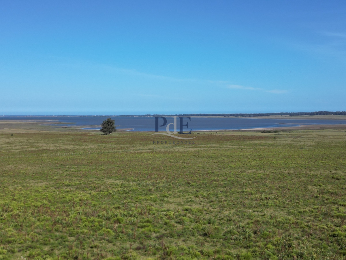 Campo en José Ignacio. - Imagen 7