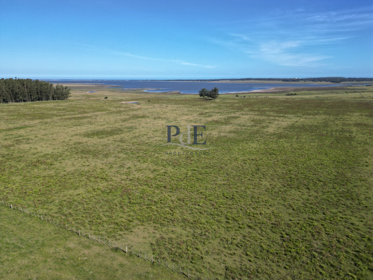 Campo en José Ignacio. - Imagen 2