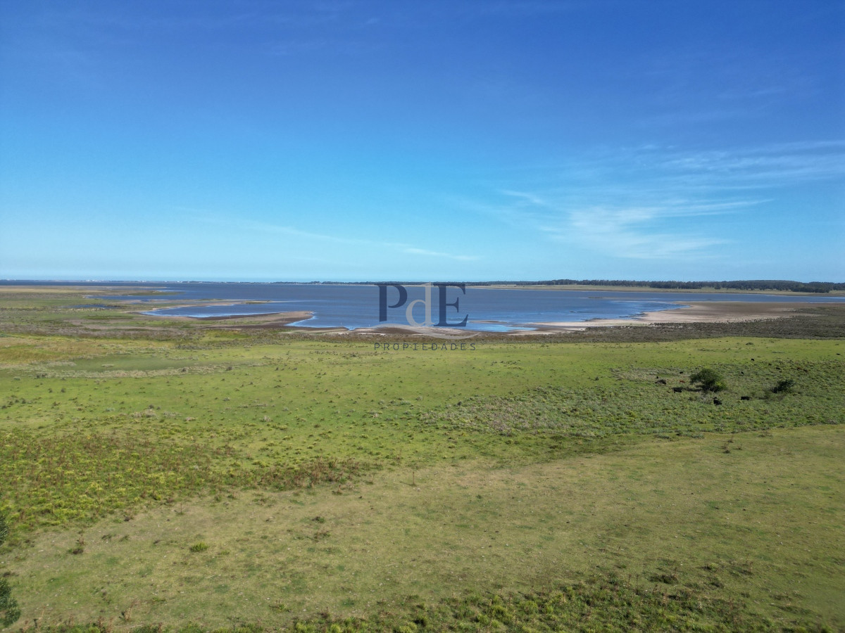 Campo en José Ignacio. - Imagen 1