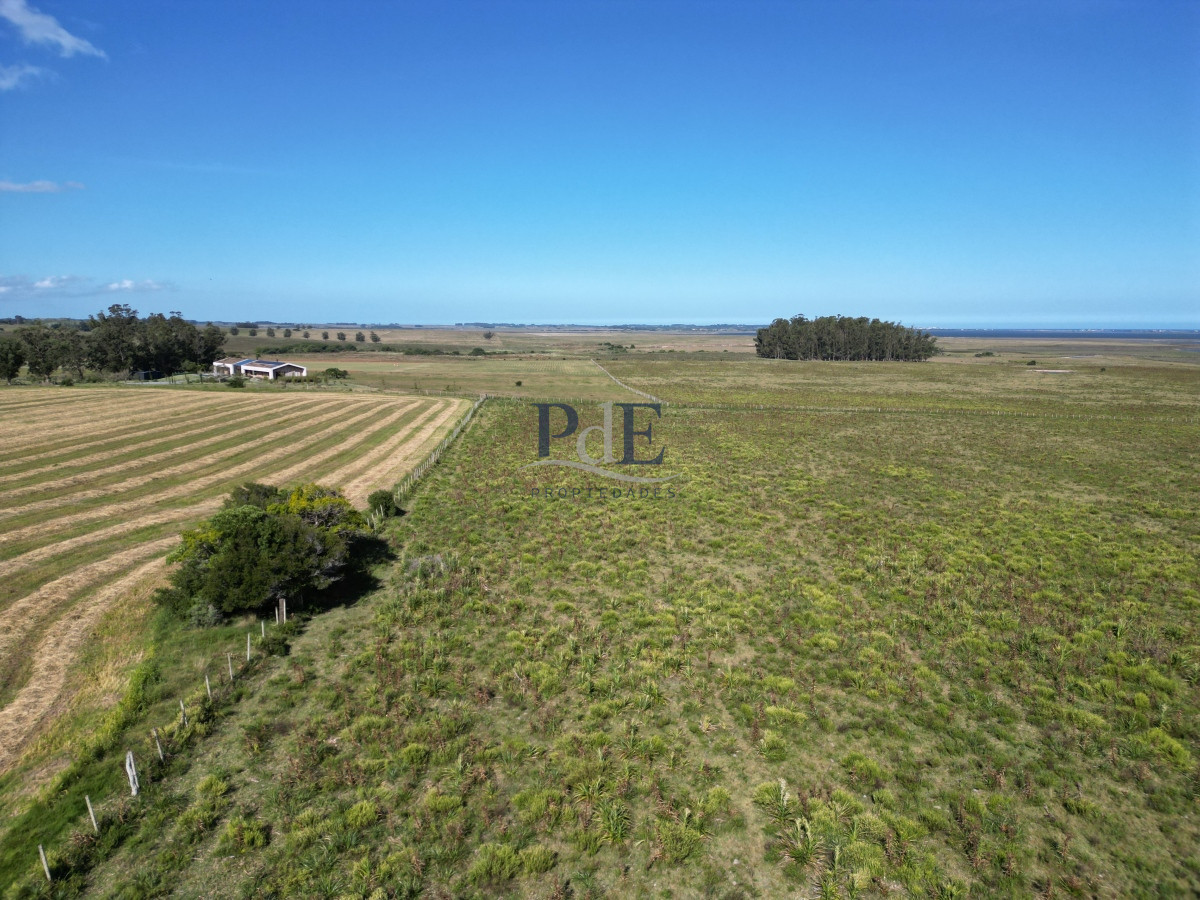 Campo en José Ignacio. - Imagen 11