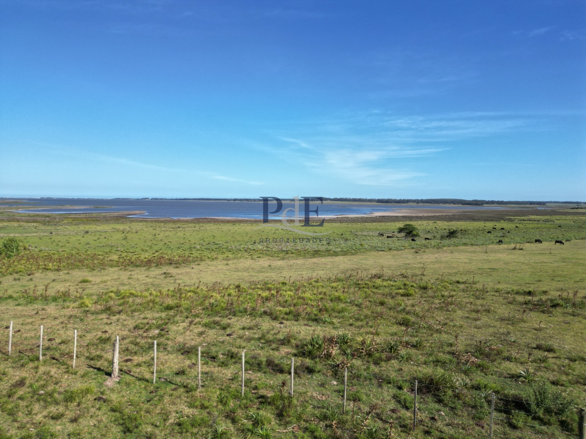 Campo en José Ignacio.