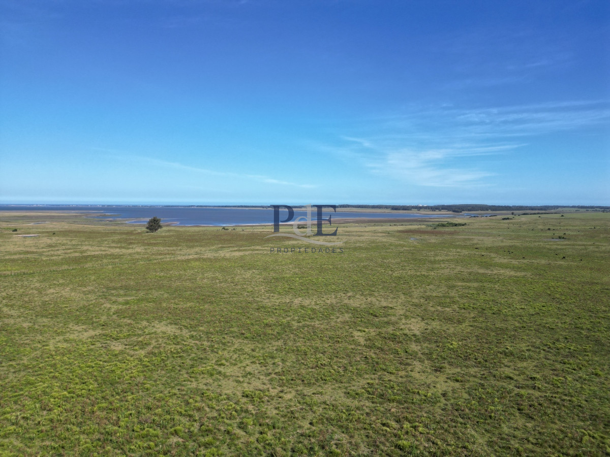 Campo en José Ignacio. - Imagen 4