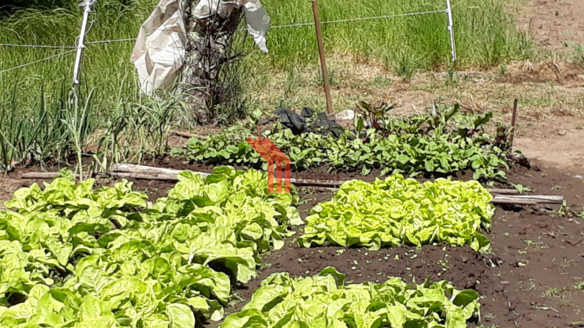 Casa ID.110 - Casa en Canelones, Canelones