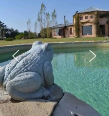 Chacra 1 Ha. en Zona Pejerrey 5 dormitorios con piscina