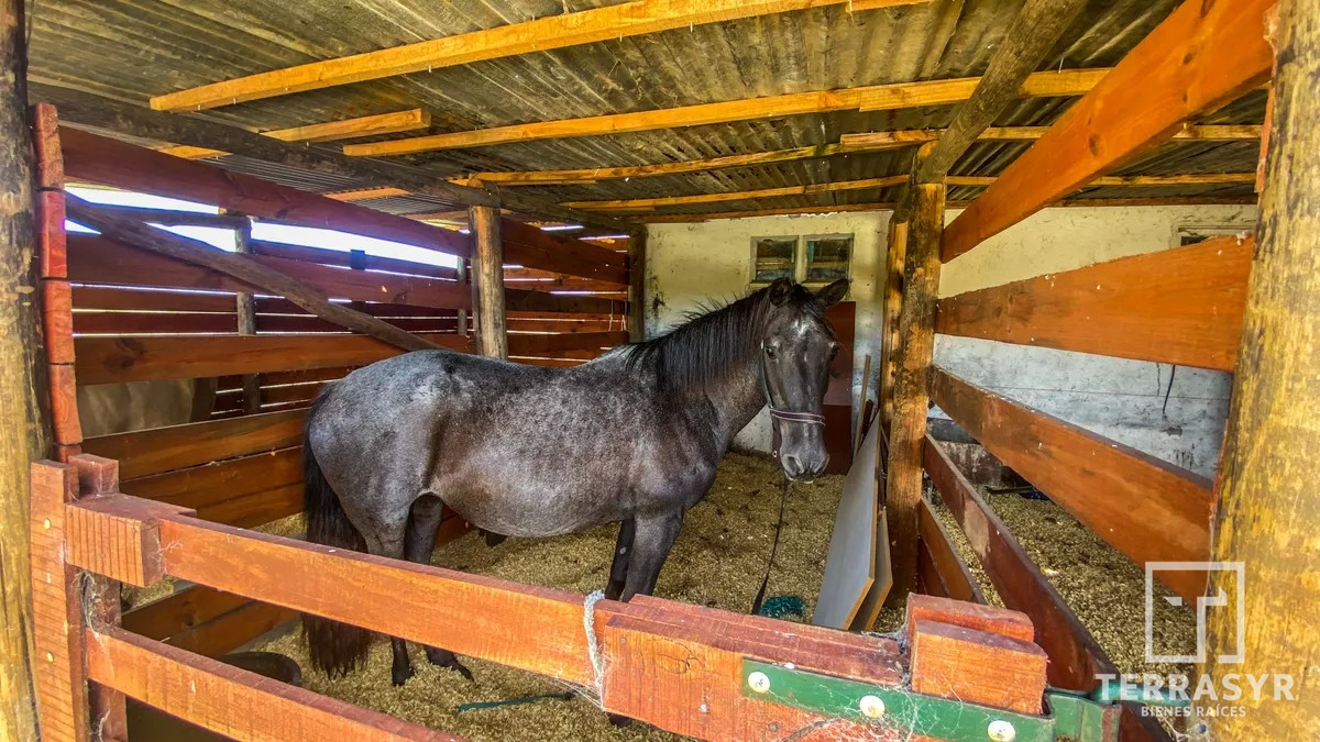 Chacra ID.116 - Chacra en venta Maldonado Ruta 9