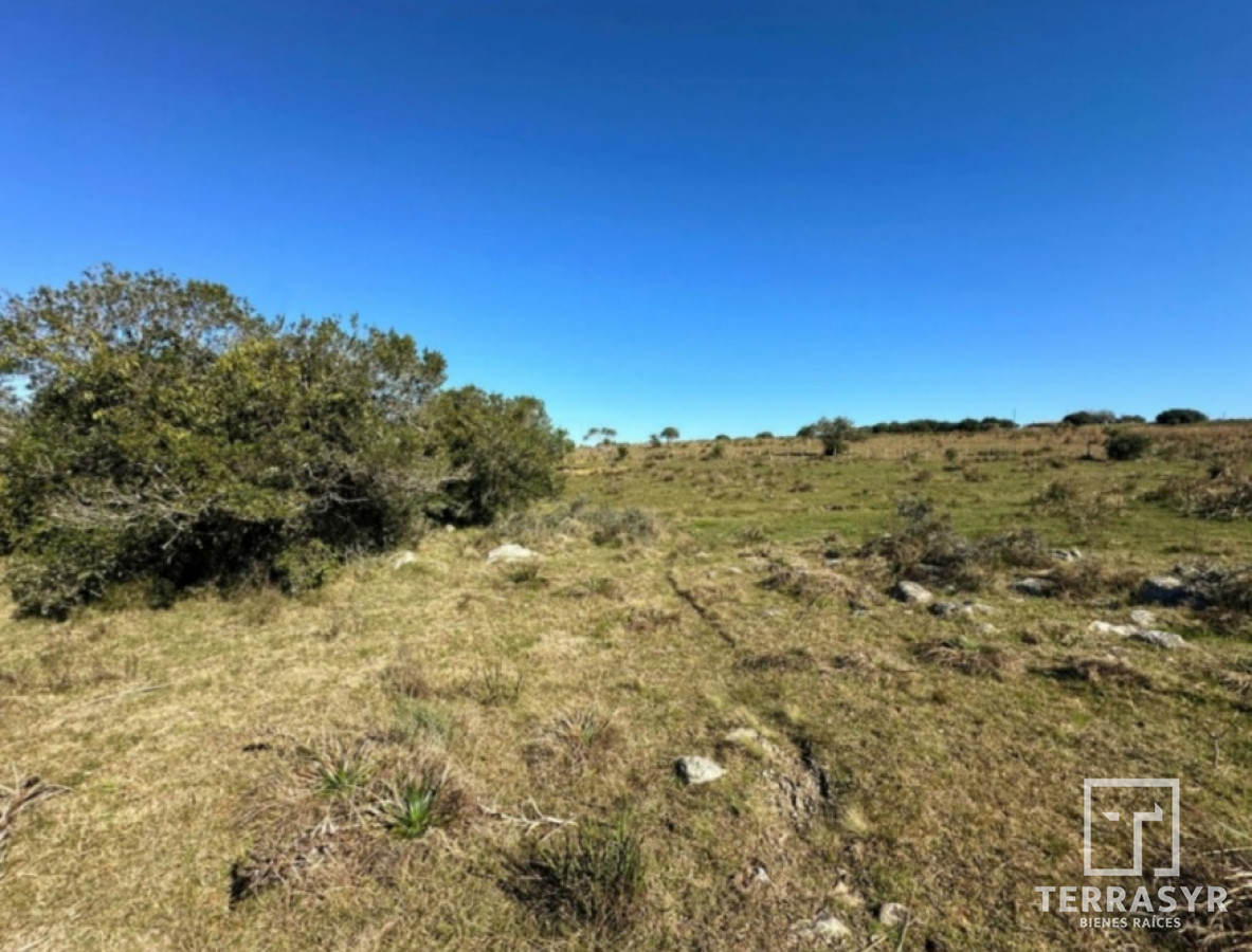Chacra ID.1362 - 