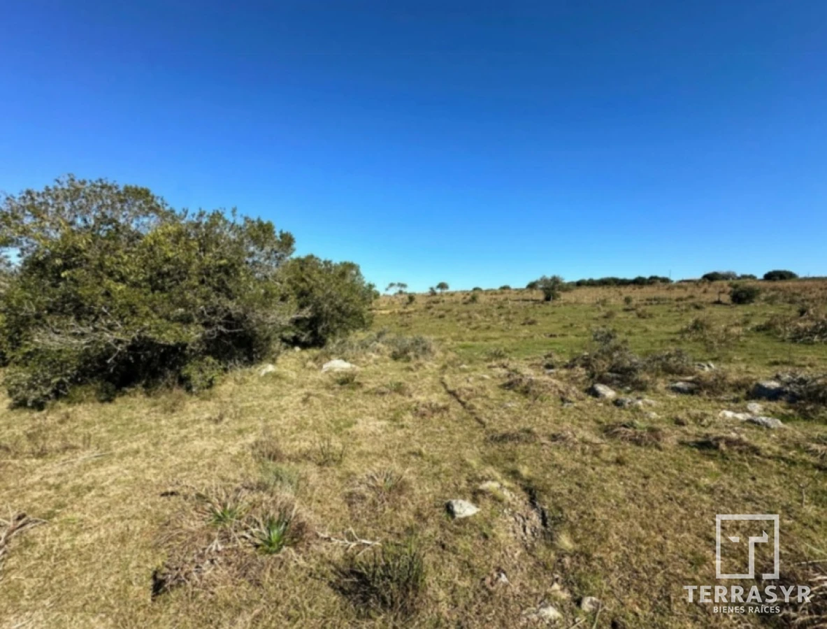 Chacra ID.1362 - 