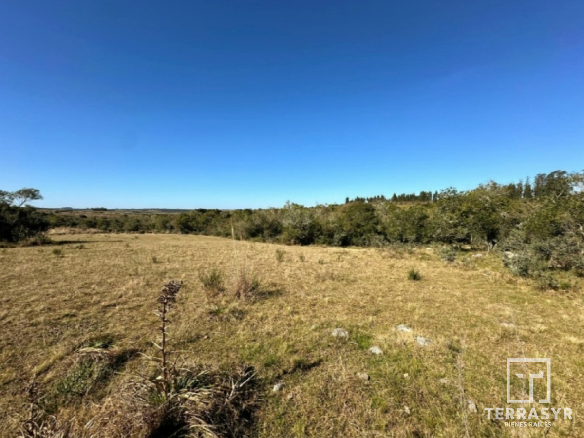 Chacra ID.1362 - 