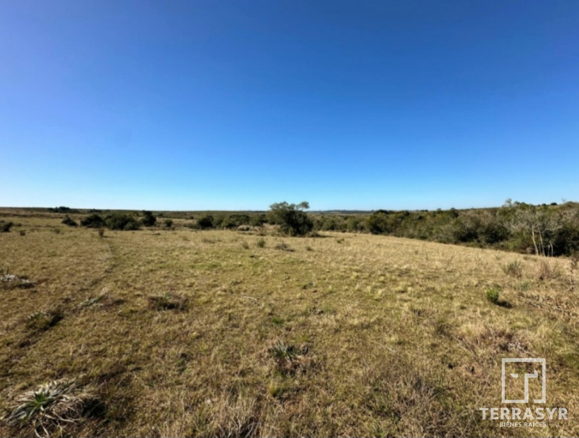 Chacra ID.1362 - 