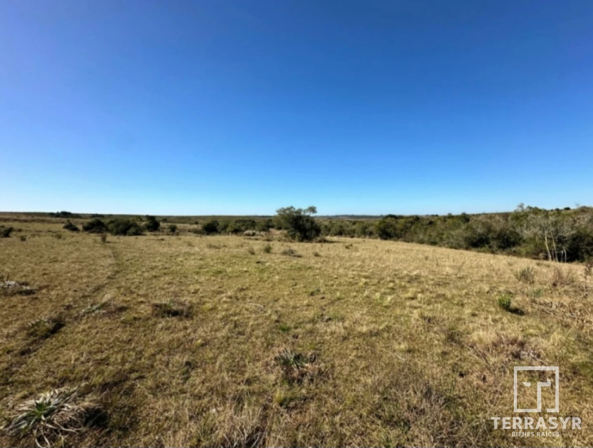 Chacra ID.1362 - 