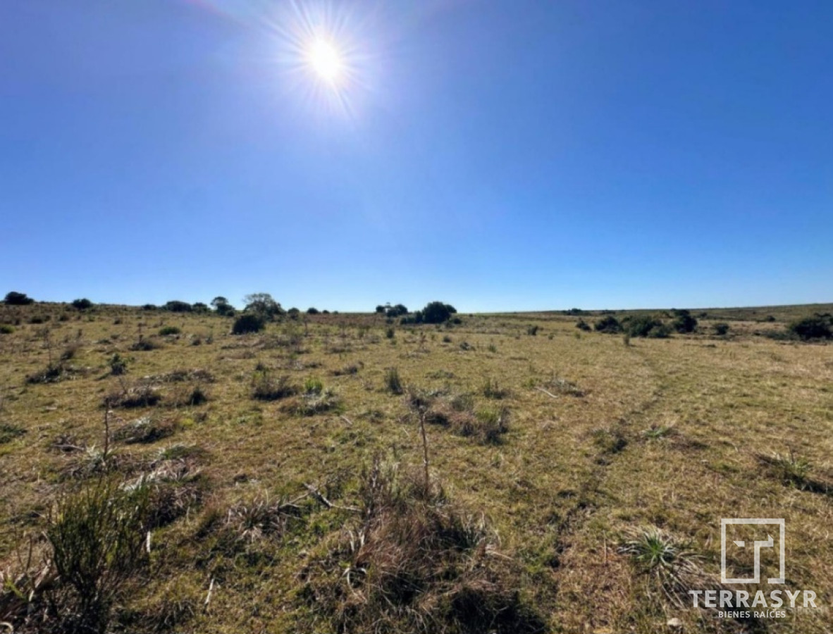 Chacra ID.1362 - 