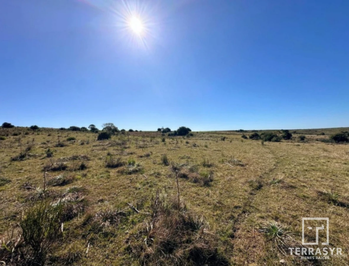 Chacra ID.1362 - 