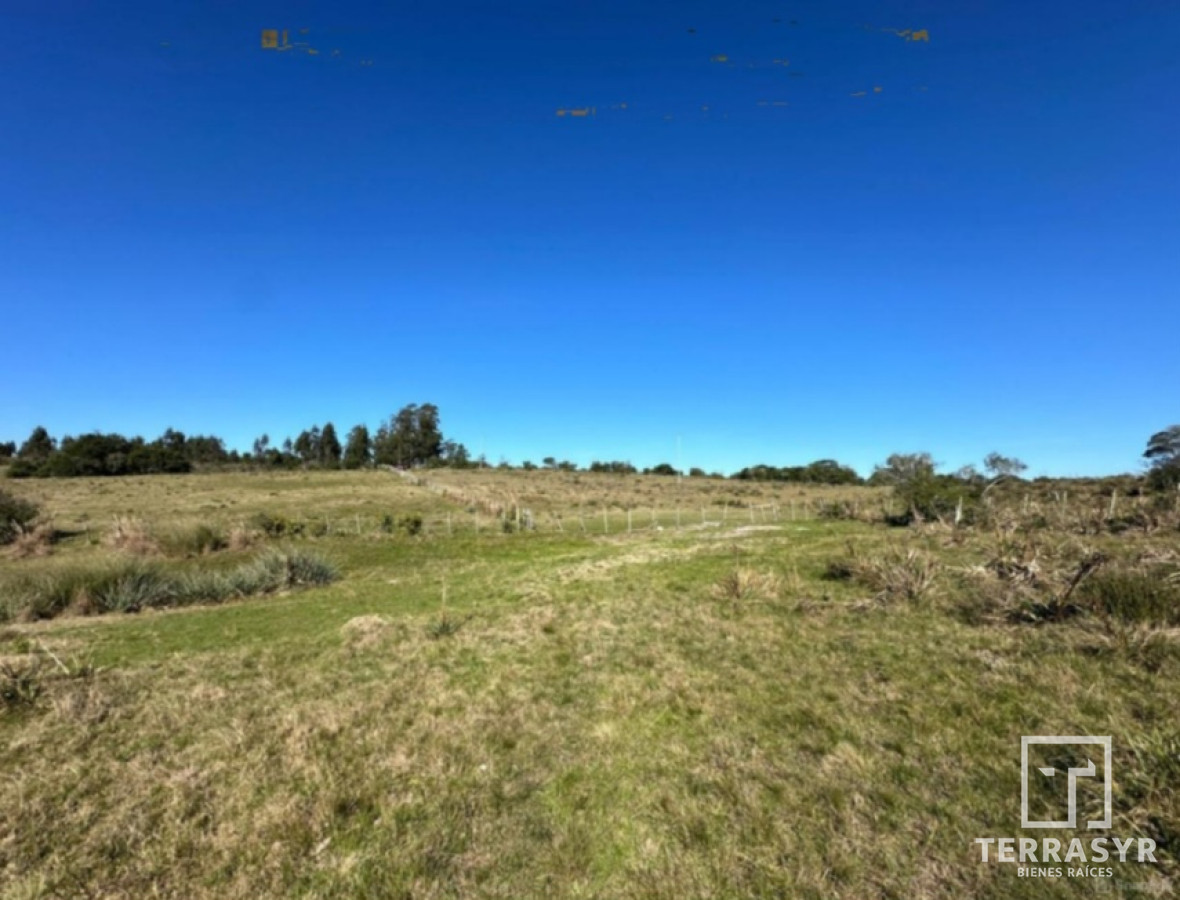 Chacra ID.1362 - 