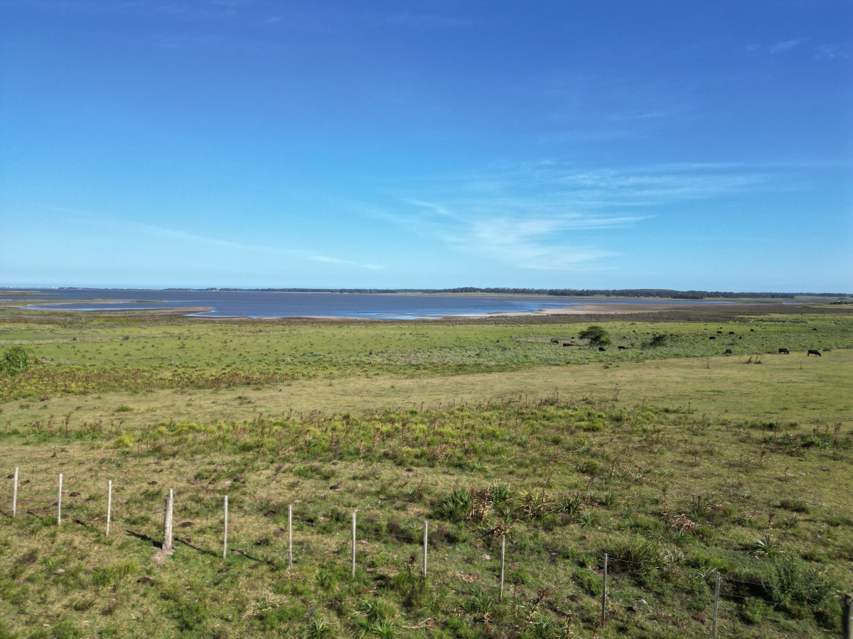 Imagen de Campo en José Ignacio.