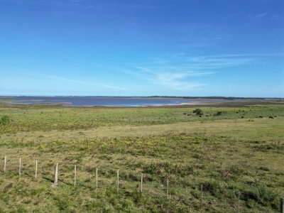 Campo en José Ignacio 