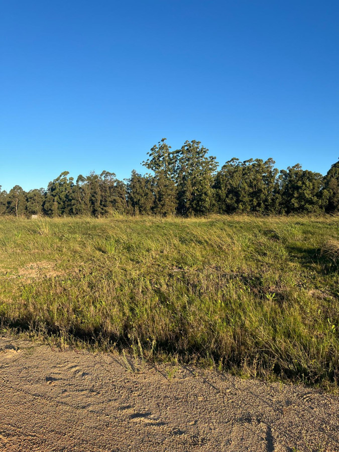 Exelente terreno en venta de 300 m2