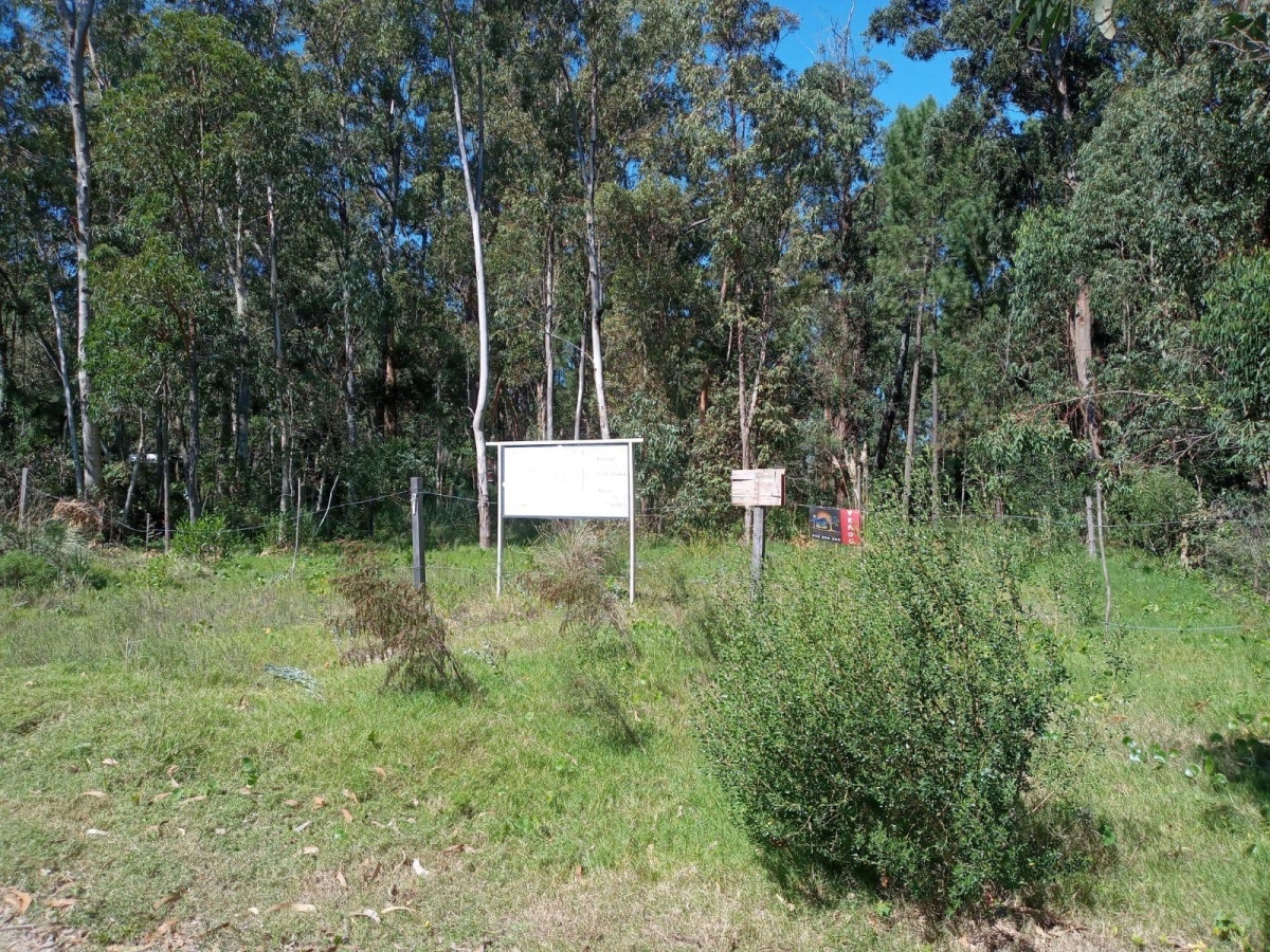 Oportunidad de inversión terreno de 910m2 