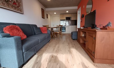 VENTA APARTAMENTO 1 DORMITORIO MANSA CON GARAGE