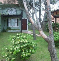 EN VENTA 2 DUPLEX EN PUNTA BALLENA