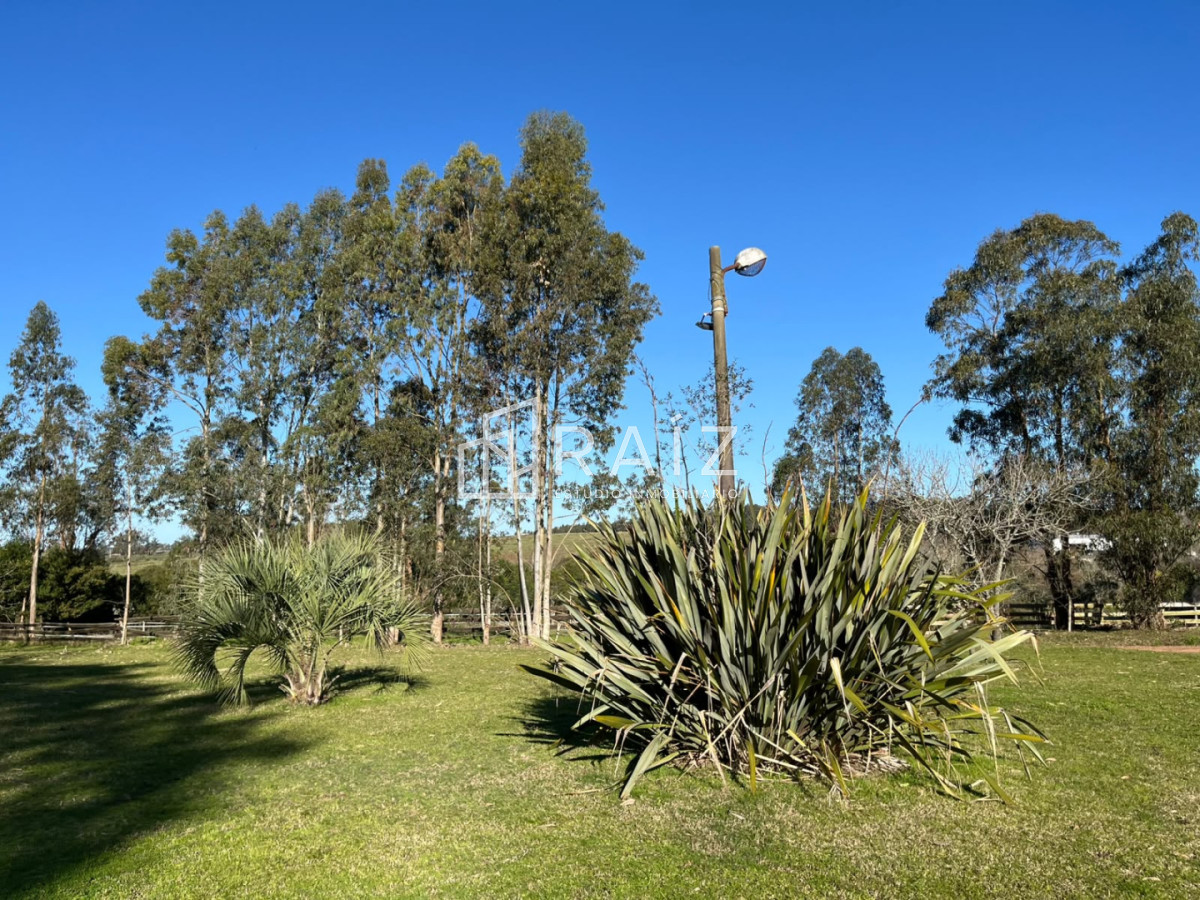 Chacra ID.12638 - VENTA CHACRA 3 HAS SAN CARLOS