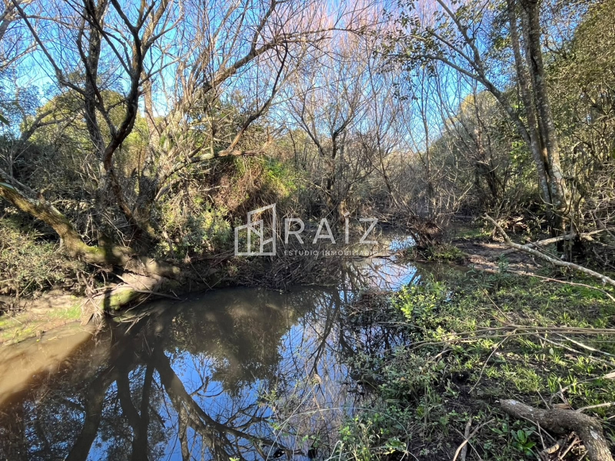 Chacra ID.12638 - VENTA CHACRA 3 HAS SAN CARLOS