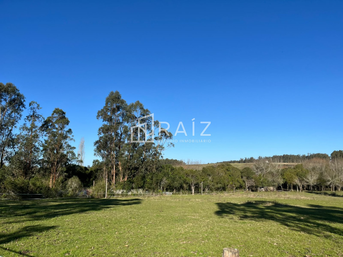Chacra ID.12638 - VENTA CHACRA 3 HAS SAN CARLOS