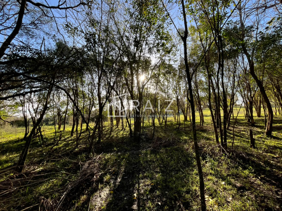 Chacra ID.12638 - VENTA CHACRA 3 HAS SAN CARLOS
