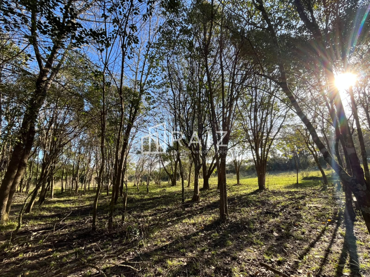 Chacra ID.12638 - VENTA CHACRA 3 HAS SAN CARLOS