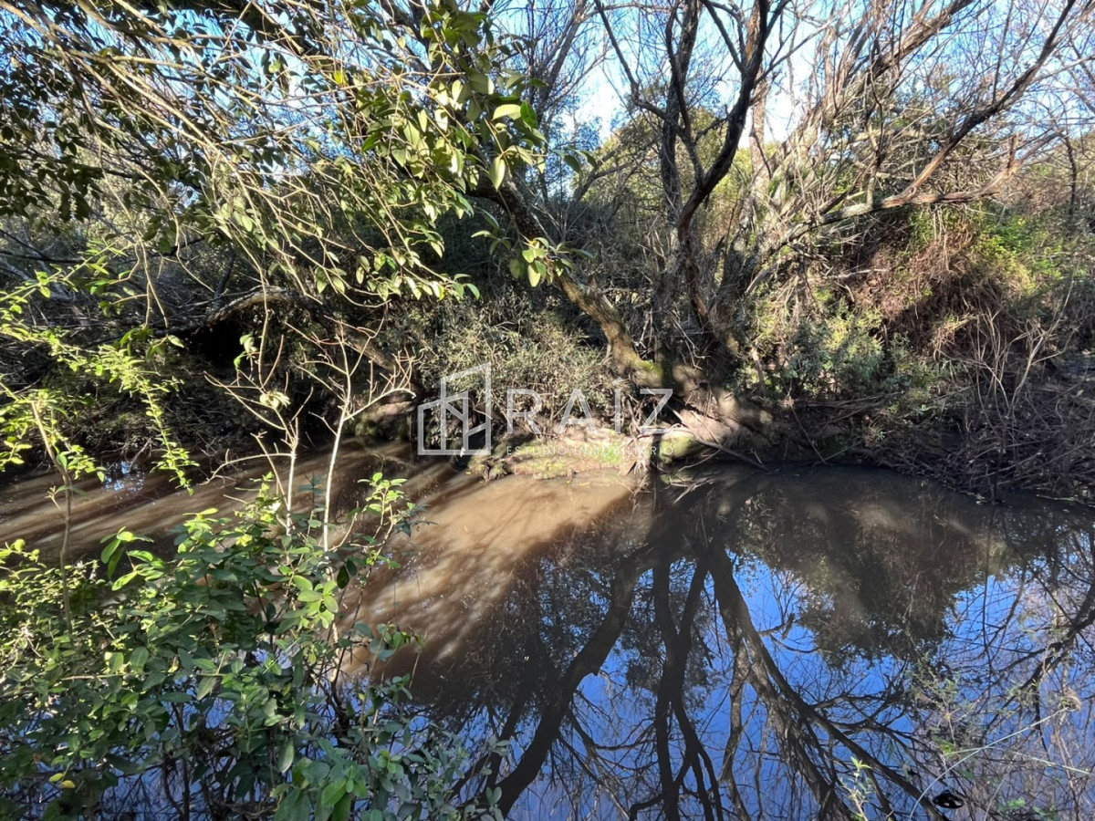 Chacra ID.12638 - VENTA CHACRA 3 HAS SAN CARLOS
