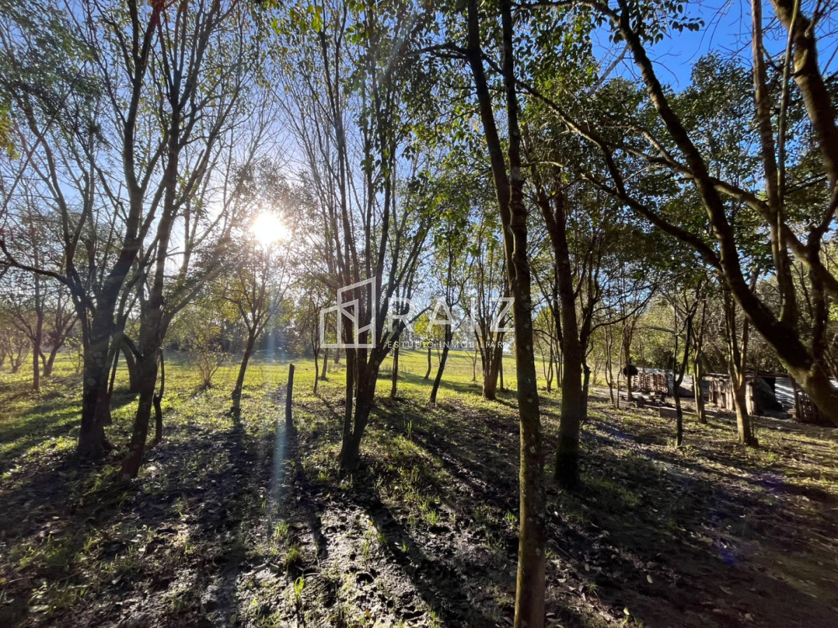 Chacra ID.12638 - VENTA CHACRA 3 HAS SAN CARLOS