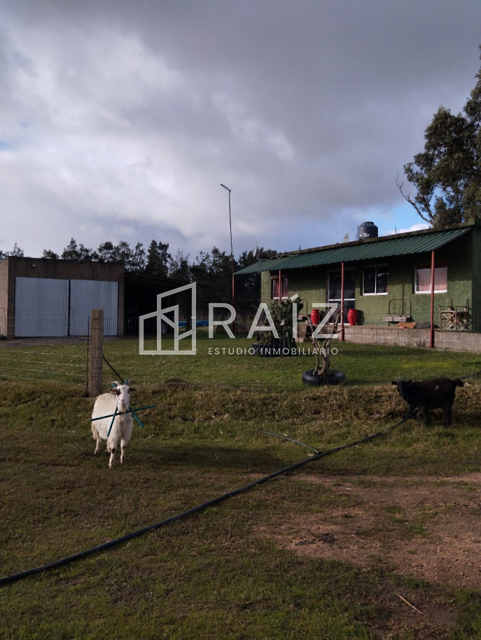 Chacra ID.11165 - Venta Chacra 8 Hás San Carlos R39