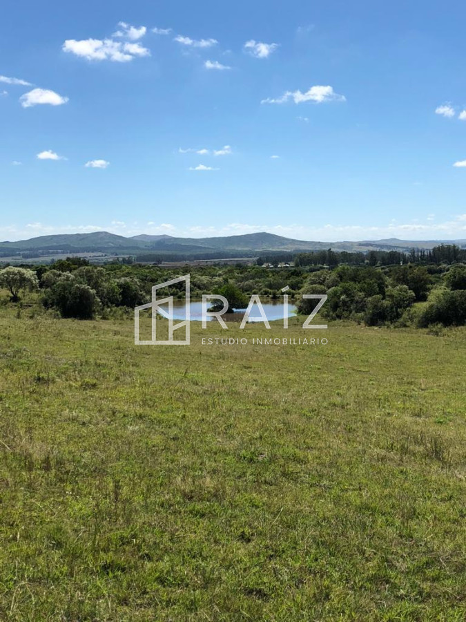 Chacra ID.7121 - CHACRA EN VENTA 134 HAS MALDONADO