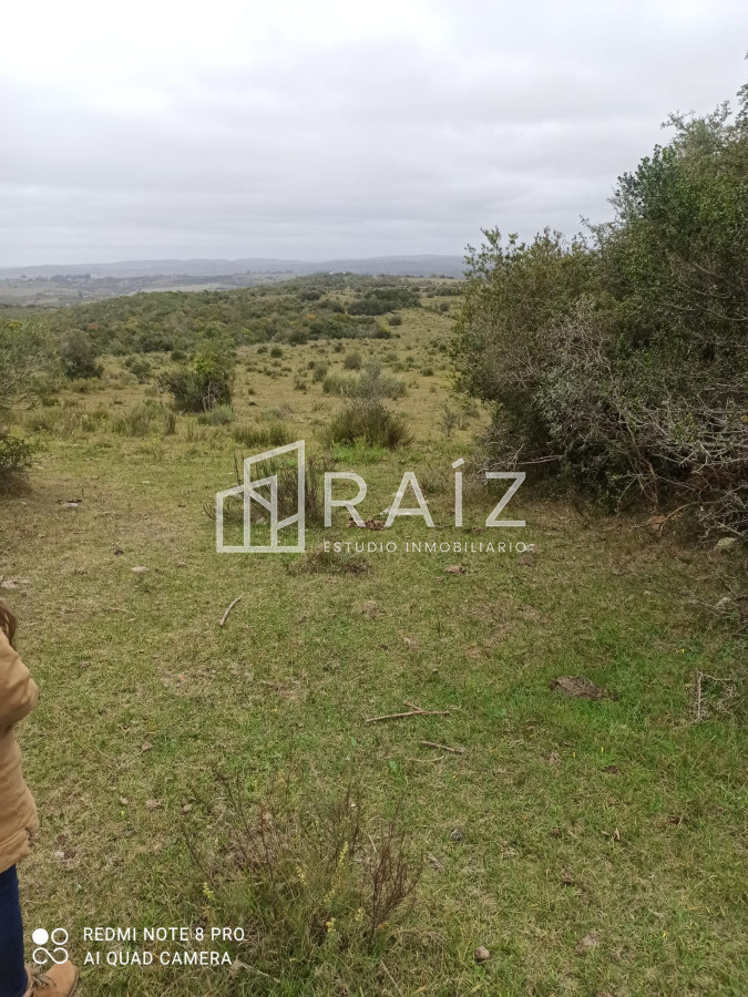 Chacra ID.6520 - VENTA CHACRA 8 HÁS LAS CAÑAS