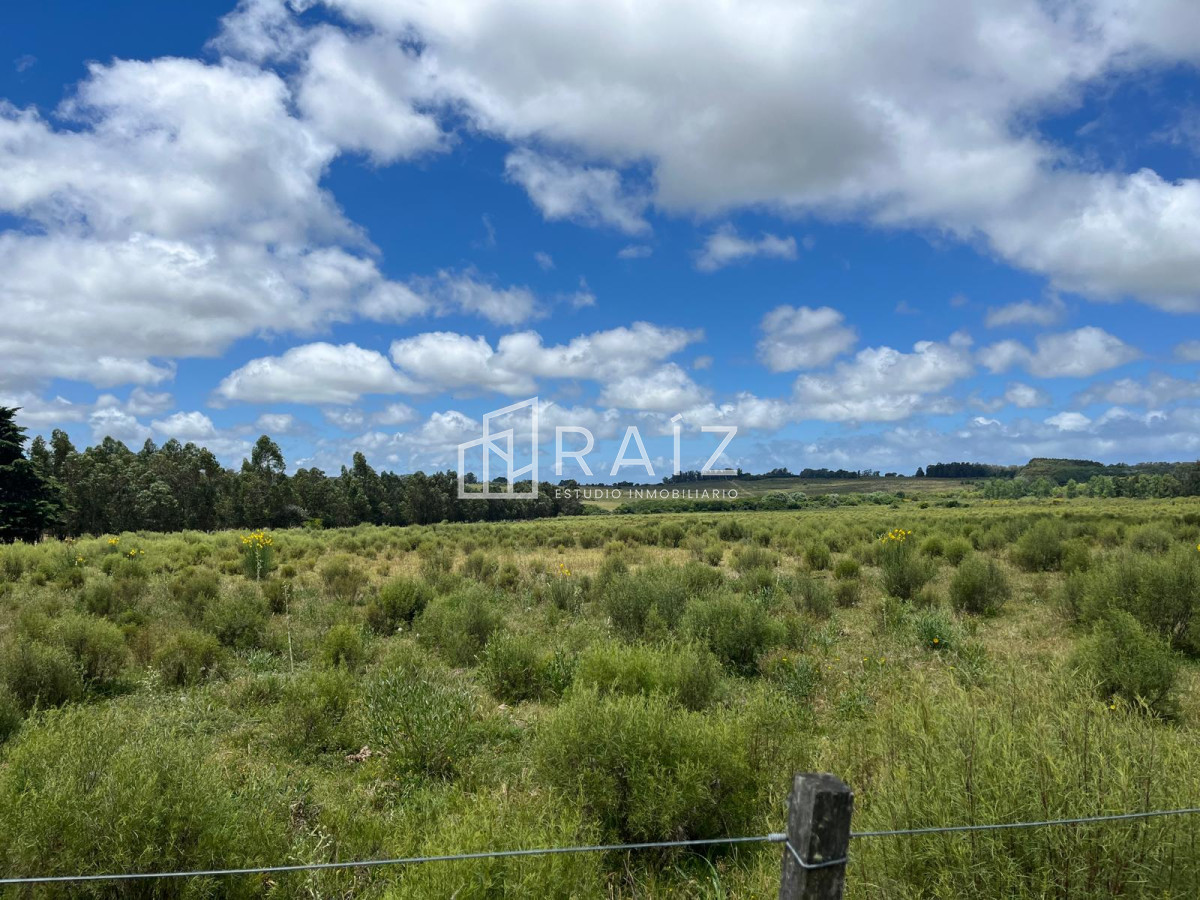 Chacra ID.11702 - VENTA 11 HECTAREAS RUTA 104