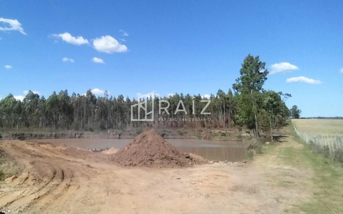 Chacra ID.3939 -  CHACRA EN VENTA DE 7 HECTAREAS MALDONADO